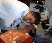 Berufsbilder -Österreichisches Rotes Kreuz, LV Salzburg