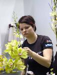 Berufsbilder -mit freundlicher Genehmigung von Skills Finland