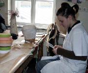 Berufsbilder -BiWi - Berufsinformation der Wiener Wirtschaft