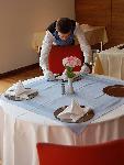 Berufsbilder -SkillsAustria