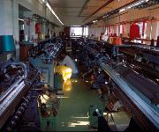 Berufsbilder -BiWi - Berufsinformation der Wiener Wirtschaft